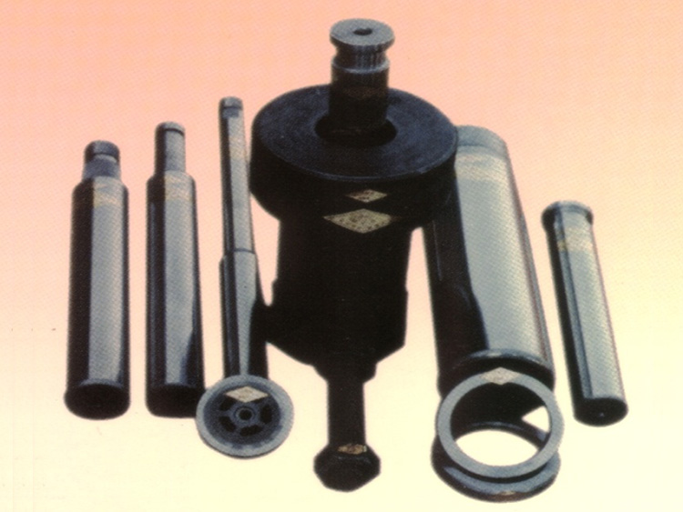 Screw and plunger